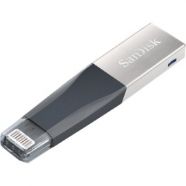 SanDisk IX4 64Gb iXpand Mini Flash Drive (SDIX40N-064G-GN6NN)