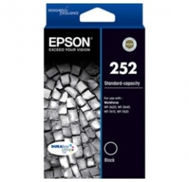 Epson 252 Std Capacity Durabrite Ultra Black Ink C13t252192