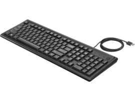 HP Keyboard 100 2Un30Aa