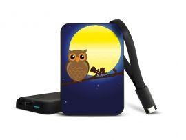 Smartoools  MC10 Battery Charger - Owl