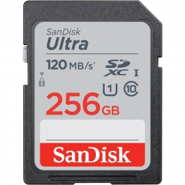  SANDISK SDSDUN4-256G-GN6IN SDXC Ultra UHS-I Class 10 , U1, 120mb/s read &10mb/s write 