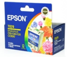 Epson T029 Ink Cartridge Colour 300 Pages C13t029091