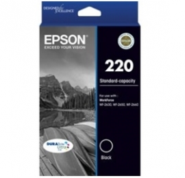 Epson 220 C13t293192