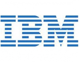 Ibm Ms Windows Remote Desktop Services Cal 2012 (5 User)- Multilanguage 00y6342