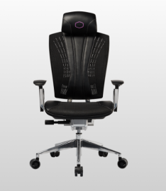 Cooler Master Ergo L Gaming Chair (Cmi-Gcel-2019)