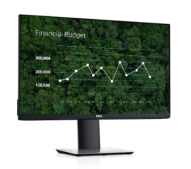 DELL 24" USB-C Monitor (P2419HC)