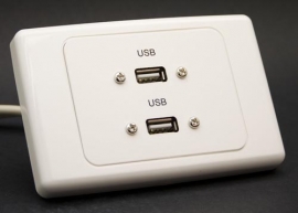 4cabling Dual Usb Wall Plate Cwpfh402a
