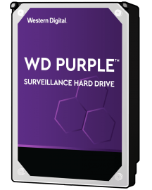 Western Digital Purple Surveillance HDD 7200RPM (WD102PURZ)