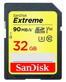 Sandisk Sdxvne 32gb Sd Extreme Class 10 90mb/s Sdsdxve-032g-gncin