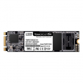 Team Ms30 M.2 Sata Ssd 256Gb Tm8Ps7256G0C101
