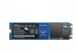 Western Digital Wd 250Gb Blue Nvme Ssd M.2 Pcie Gen3 X2 5Y Warranty Sn500 Wds250G1B0C